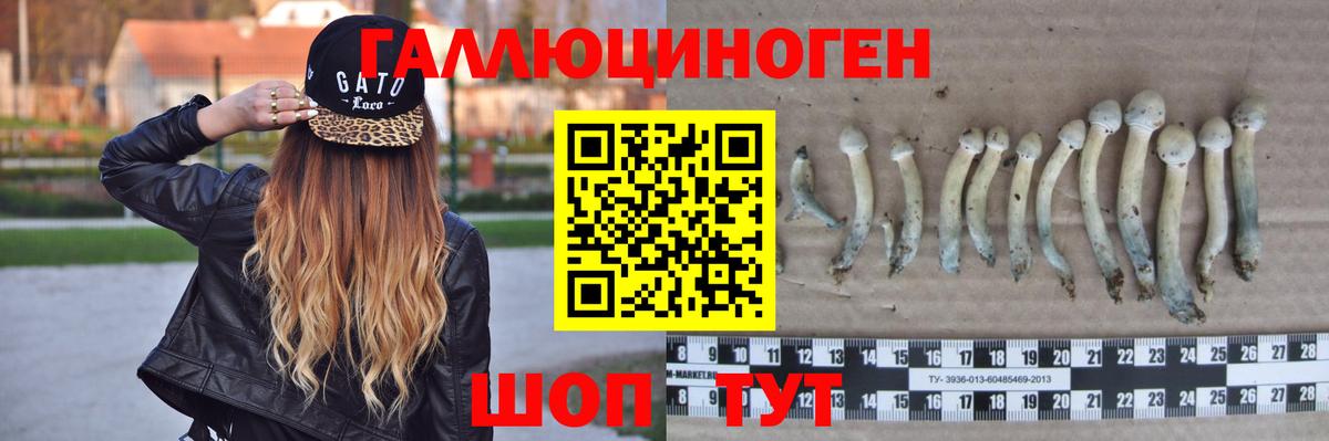 Галлюциногенные грибы ЛСД Звенигород